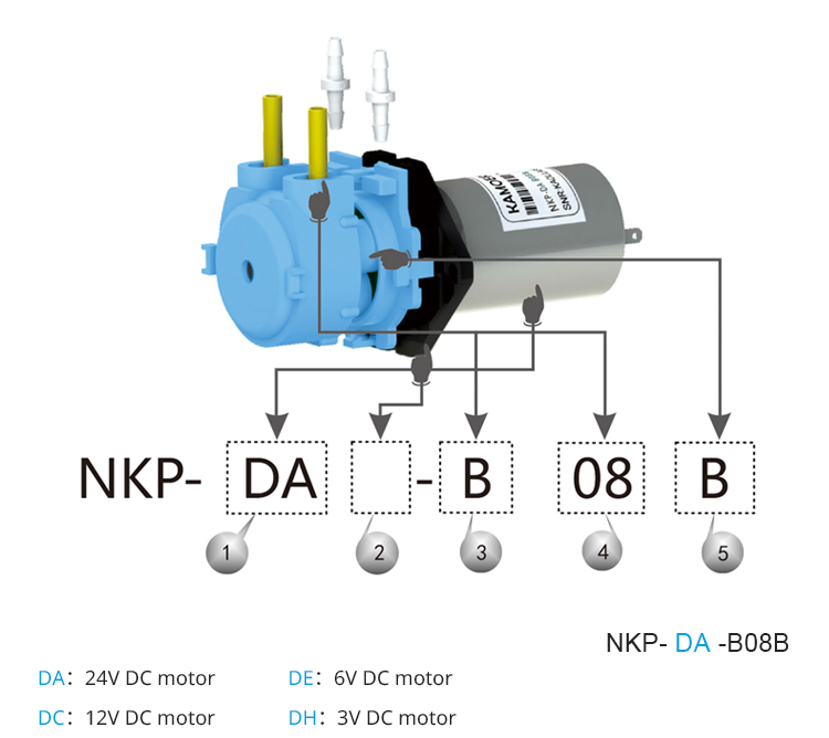 2026 new NKP 6V 12V 24V DC mot – обзор и цена Nutrition & Fitness Coaching Fulham